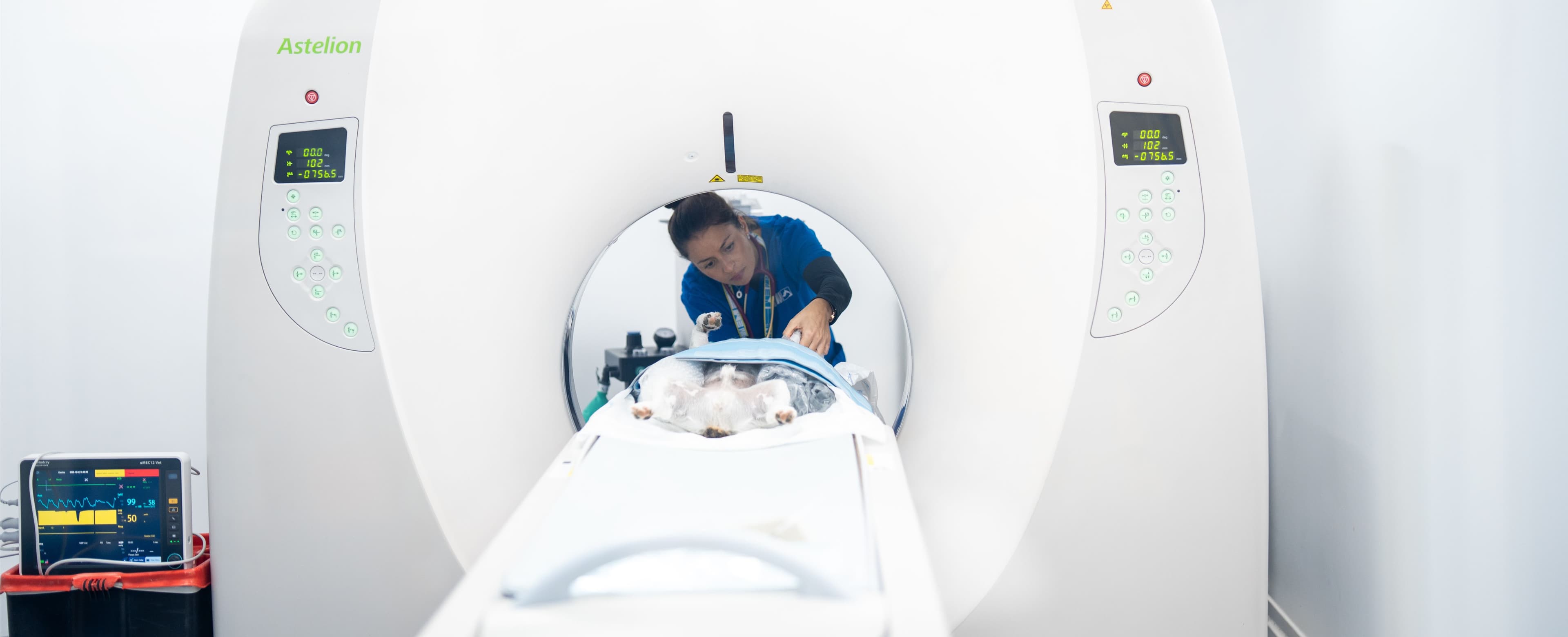 Imagiologia Veterinária