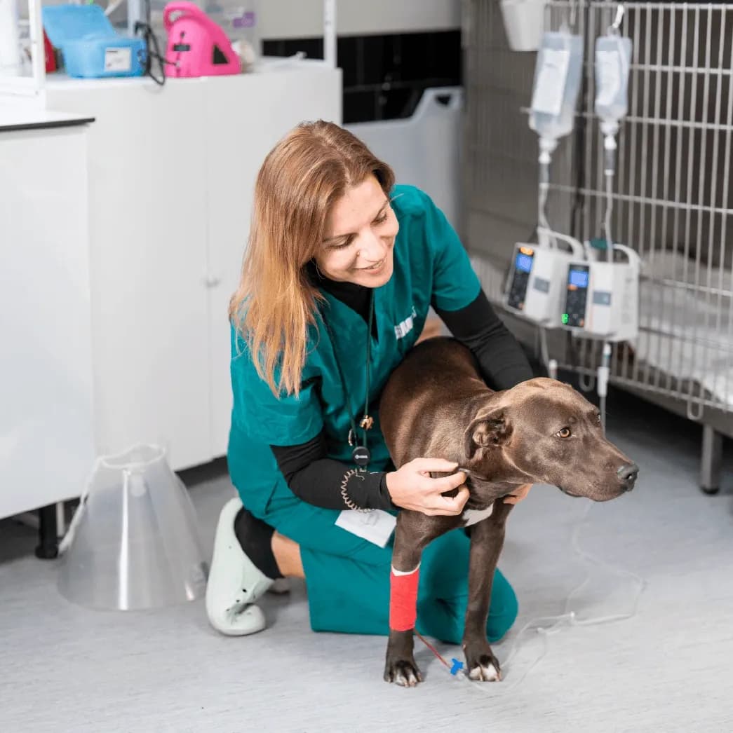 Consultas de especialidade