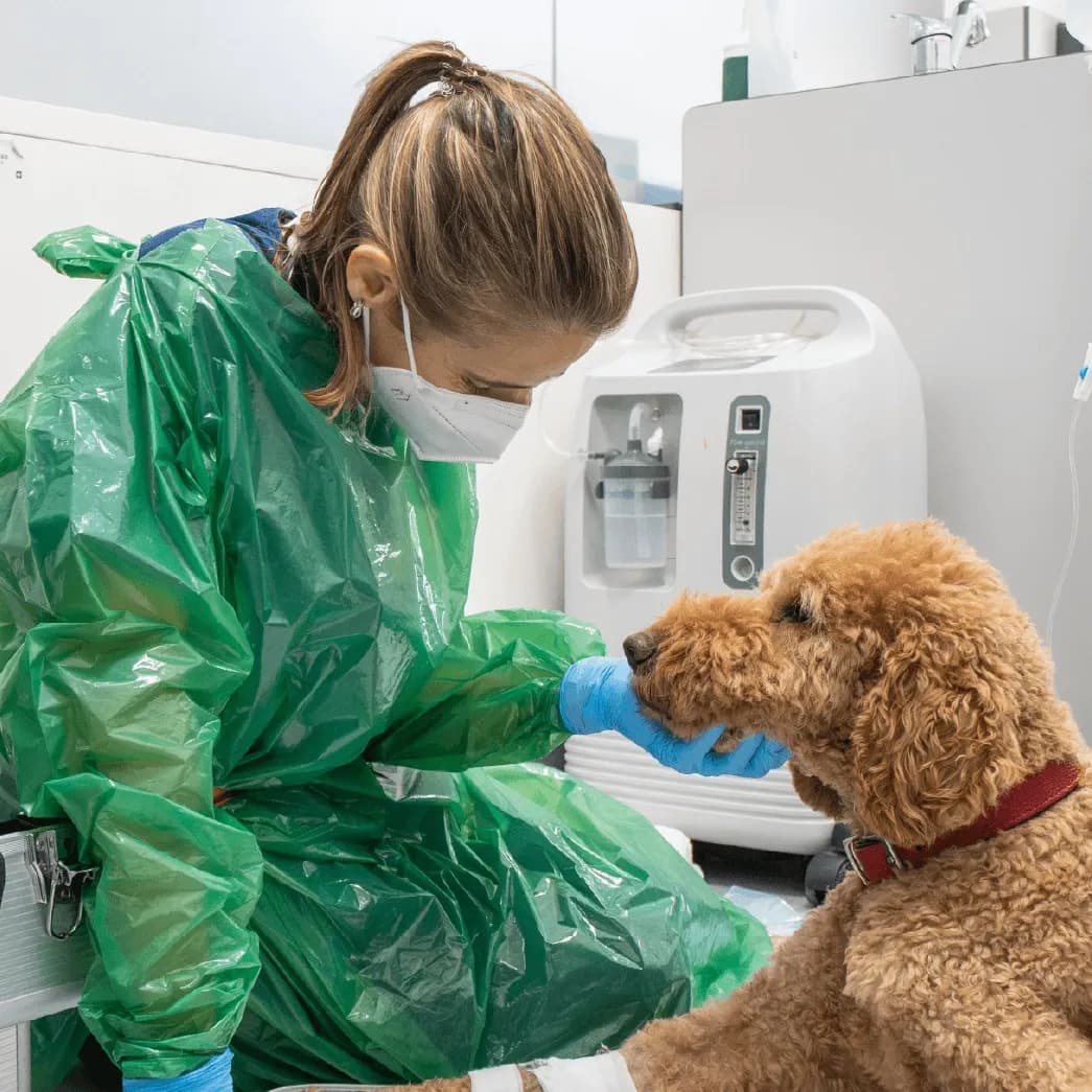 Serviço de urgência 24h